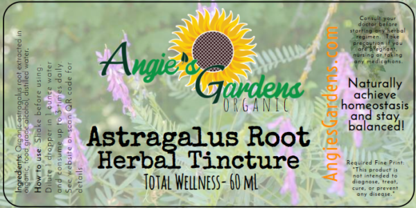 Astragalus Root Tincture